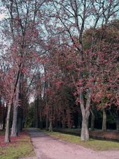 B-Herbststimmung 077.jpg